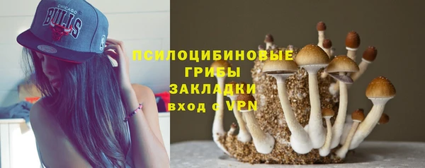 ПСИЛОЦИБИНОВЫЕ ГРИБЫ Алзамай