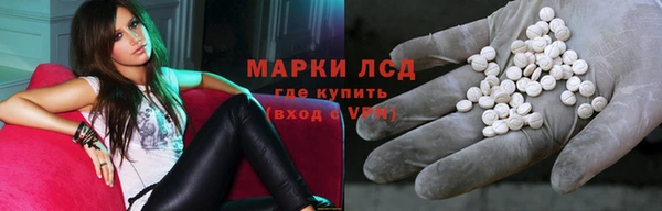 ПСИЛОЦИБИНОВЫЕ ГРИБЫ Алзамай