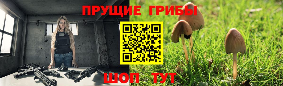 Псилоцибиновые грибы Psilocybine cubensis  Вход с VPN  Псилоцибиновые грибы Psilocybe  Кореновск 